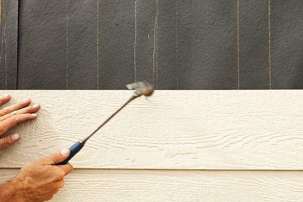 Best Siding Painting and Refinishing  in Fairmount, CO